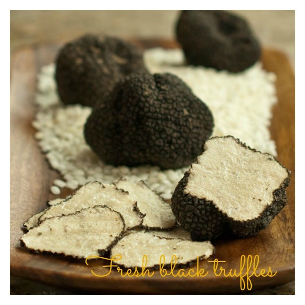 Waiting for the real deal? Fresh truffle season will start soon! Sign up for the Fresh Truffle Notice while you wait