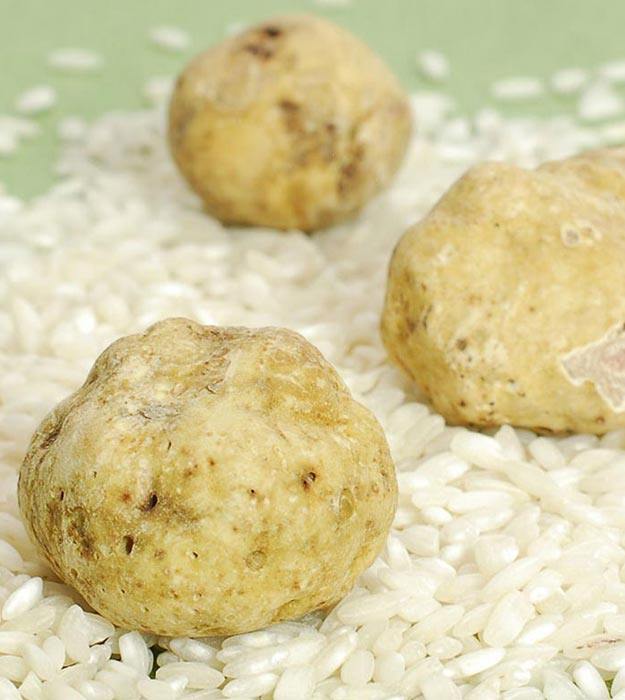 Fresh Italian White Truffles Valentine's Day Gift  