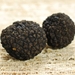 Truffle Recipes