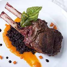 Venison Recipes