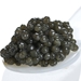 Bulgarian Farmed Caviar