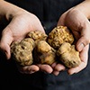 Pre-Order Your Holiday Fresh Truffles!