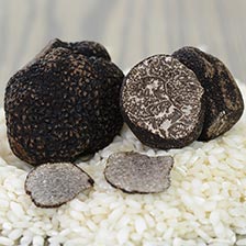 Fresh Black Winter Truffles