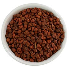 Annatto Seeds