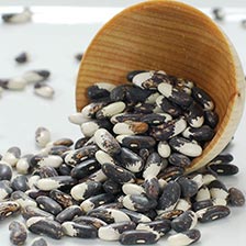 Appaloosa Beans - Dry
