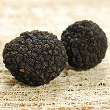 Fresh Truffles for Sale - Buy Truffles Online - Gourmet Food World