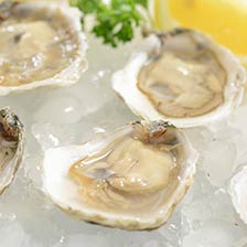 Blue Point Oysters
