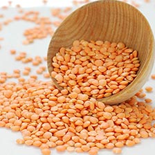 Lentils - Crimson Petite, Dry