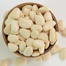 Lima Beans - Baby Butter, Dry