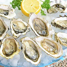 Emerald Cove Oysters