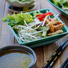 Vietnamese Chicken Salad Recipe