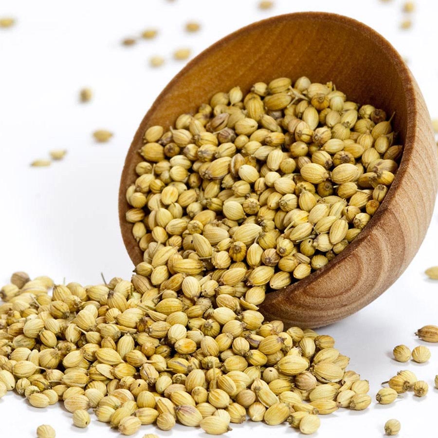 Image result for coriander seeds