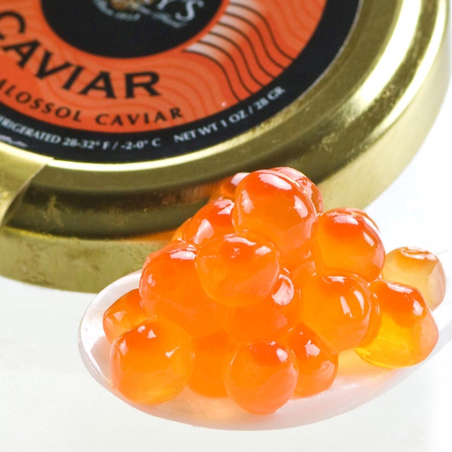 Russian Salmon Roe Keta Caviar Malossol from Russia buy caviar online