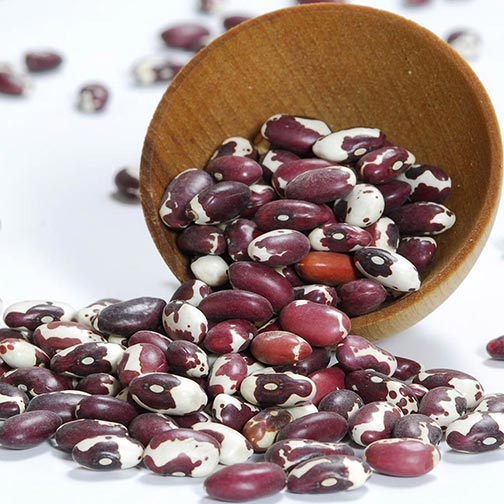 Anasazi Beans - Dry