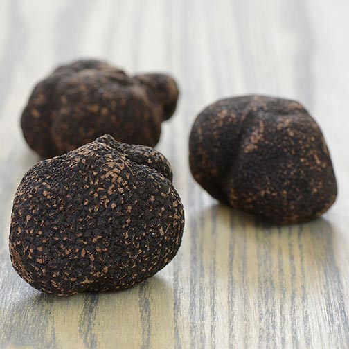 Australian Fresh Black Winter Truffles