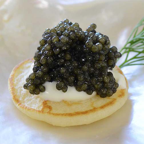Emperior American Paddlefish Caviar
