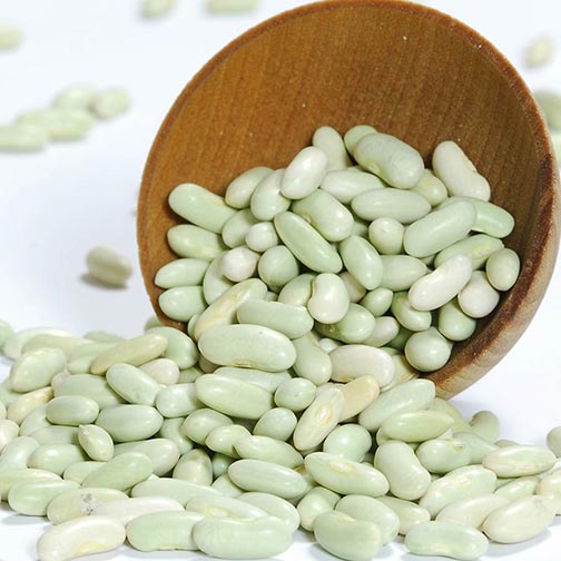 Green Kidney Beans