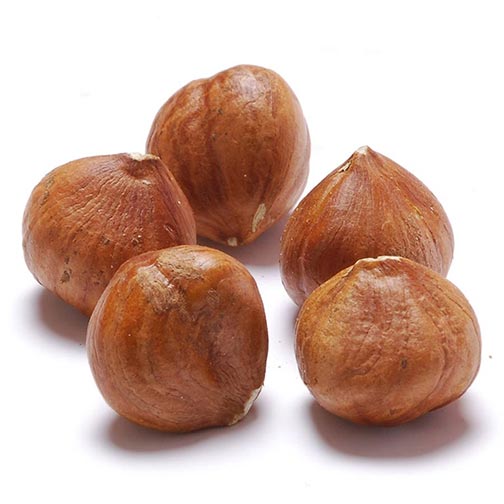 Hazelnuts, Whole (Filberts)