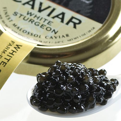 American Osetra White Sturgeon Caviar - Malossol, Farm Raised