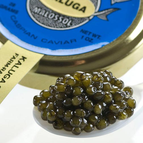 Kaluga Sturgeon Caviar - Malossol, Farm Rised