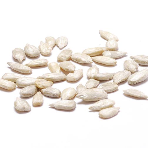 Sunflower Seeds, Raw without shells