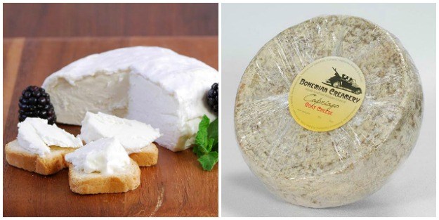 Bohemian Creamery Artisan Cheeses