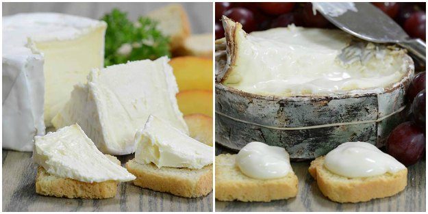 Creamy Cheeses