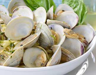 clams and oysters