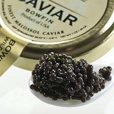 American Black Bowfin Caviar - Malossol