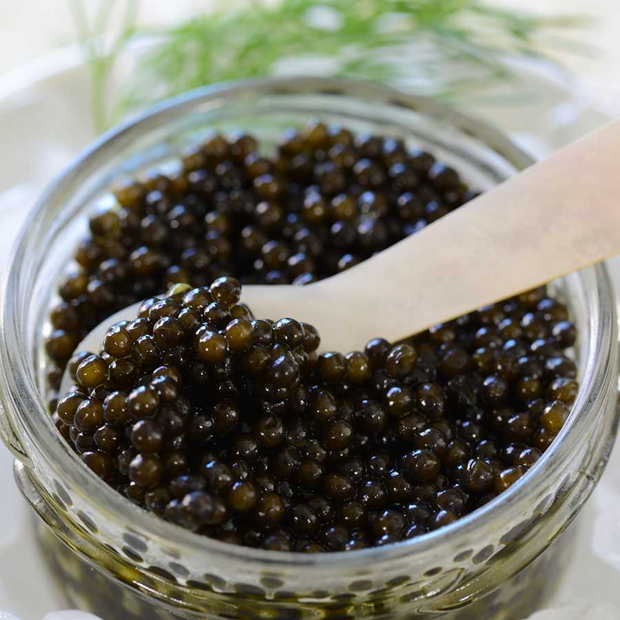 Emperior Beluga Hybrid Caviar Photo [4]