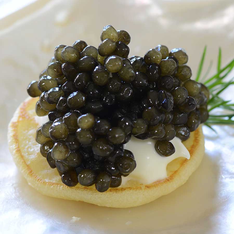 Emperior Kaluga Sturgeon Caviar Photo [1]