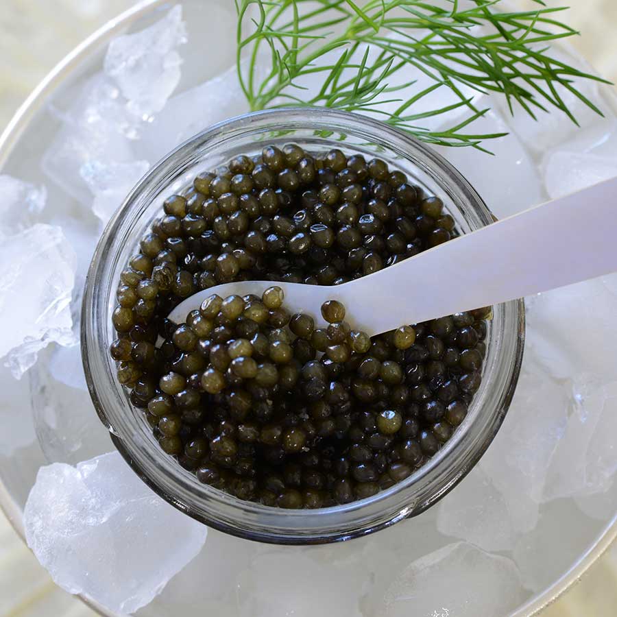 Emperior Kaluga Sturgeon Caviar Photo [3]
