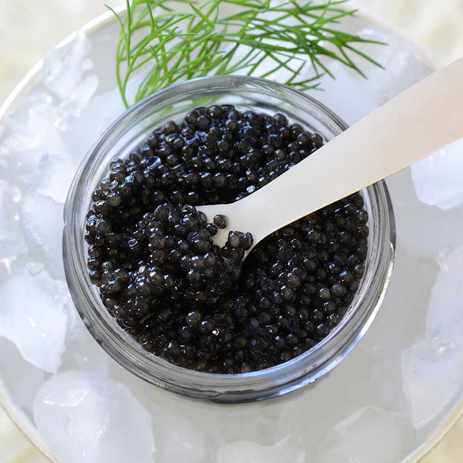 Emperior American Osetra White Sturgeon Caviar Photo [3]