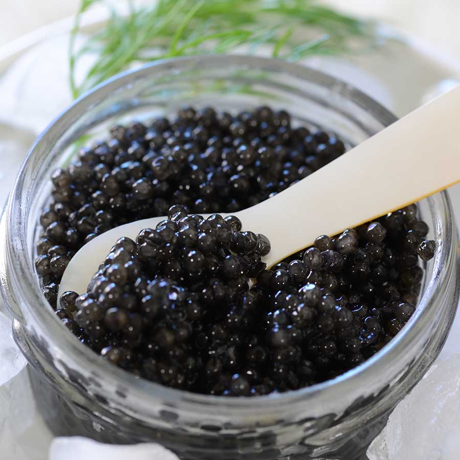 Emperior American Osetra White Sturgeon Caviar Photo [4]