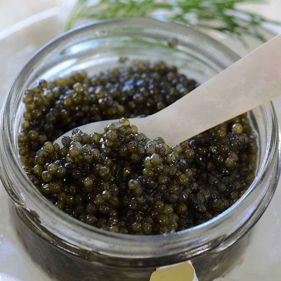 Emperior American Paddlefish Caviar Photo [4]