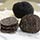 Fresh Black Perigord Winter Truffles Photo [1]