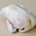 Muscovy Duck Hen, Whole Photo [2]